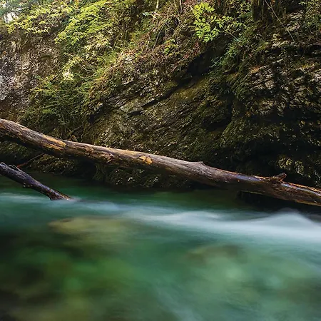 Stunning In Διαμέρισμα Vrbovsko
