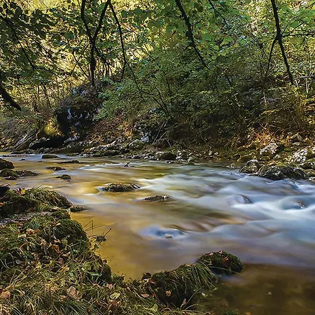 Stunning In شقة *